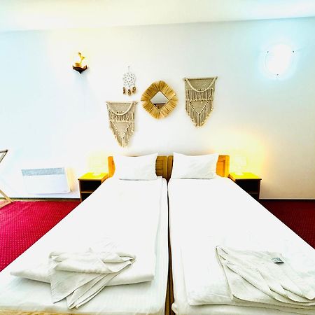 Zen Eco Villa Sfântu Gheorghe Buitenkant foto