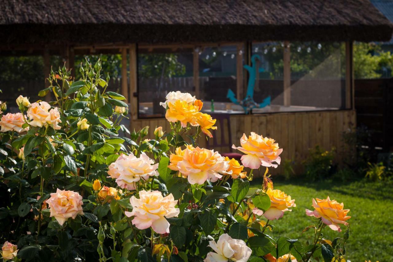 Zen Eco Villa Sfântu Gheorghe Buitenkant foto
